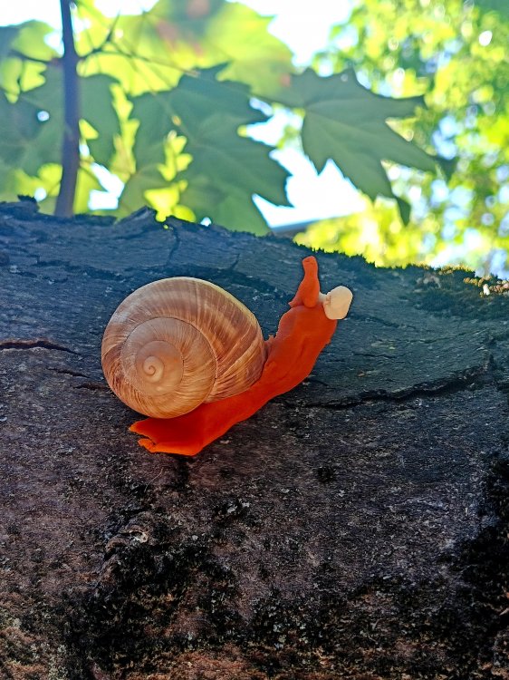 img (7)